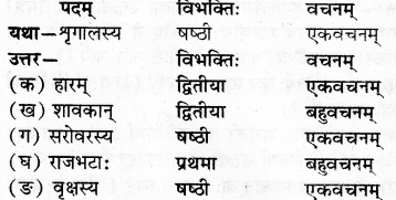 RBSE Solutions for Class 7 Sanskrit Ranjini Chapter 2 बुद्धिर्यस्य बलं तस्य 2