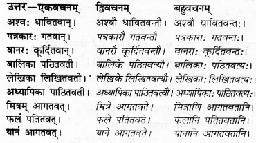 RBSE Solutions for Class 7 Sanskrit Ranjini Chapter 2 बुद्धिर्यस्य बलं तस्य 6