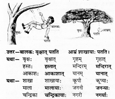 RBSE Solutions for Class 7 Sanskrit Ranjini Chapter 3 संस्कृतदिवसः 3