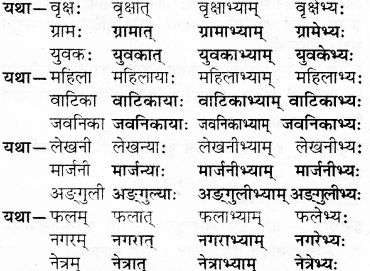 RBSE Solutions for Class 7 Sanskrit Ranjini Chapter 3 संस्कृतदिवसः 7