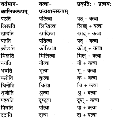 RBSE Solutions for Class 7 Sanskrit Ranjini Chapter 5 नित्यं कर्तव्यम् 5