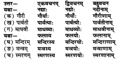RBSE Solutions for Class 7 Sanskrit Ranjini Chapter 8 आदर्शपरिवारः 4