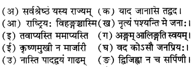 RBSE Solutions for Class 7 Sanskrit रञ्जिनी Chapter 13 प्रहेलिकाः 7