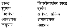 Rajasthan Board RBSE Class 9 Hindi प्रबोधिनी Chapter 6 गिल्लू 1