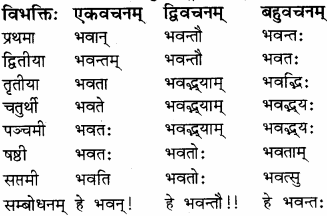RBSE Solutions for Class 8 Sanskrit रञ्जिनी Chapter 9 यौतकं पातकम्