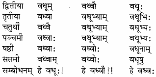 RBSE Solutions for Class 8 Sanskrit रञ्जिनी Chapter 9 यौतकं पातकम्