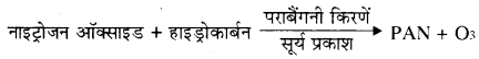 RBSE Solutions for Class 11 Biology Chapter 41 पर्यावरणीय प्रदूषण img-2