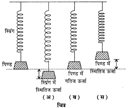 RBSE Solutions for Class 11 Physics Chapter 8 दोलन गति 8