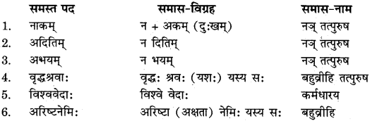 RBSE Solutions for Class 11 Sanskrit सत्प्रेरिका Chapter 1 मंगलाचरणम् (वेदामृतम्) 2
