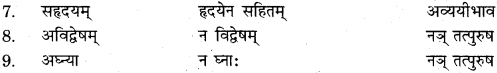 RBSE Solutions for Class 11 Sanskrit सत्प्रेरिका Chapter 1 मंगलाचरणम् (वेदामृतम्) 3