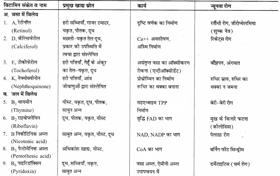 RBSE Solutions for Class 12 Biology Chapter 22 मानव का पाचन तंत्र 2