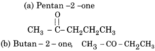 RBSE Solutions for Class 12 Chemistry Chapter 12 image 1