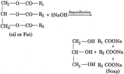 RBSE Solutions for Class 12 Chemistry Chapter 17 Chemistry in Daily Life image 21