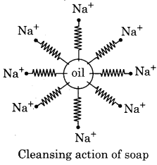 RBSE Solutions for Class 12 Chemistry Chapter 17 Chemistry in Daily Life image 10