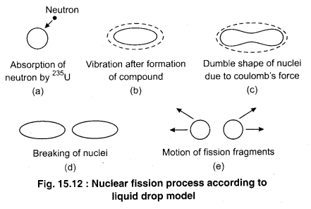 RBSE Solutions for Class 12 Physics Chapter 15 Nuclear Physics 23