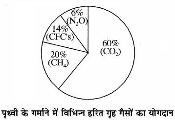 RBSE Solutions for Class 11 Chemistry Chapter 14 पर्यावरणीय रसायन img 12