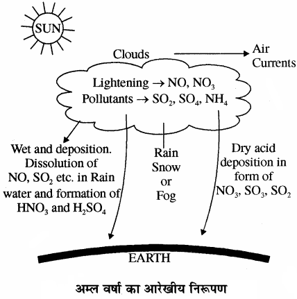 RBSE Solutions for Class 11 Chemistry Chapter 14 पर्यावरणीय रसायन img 13