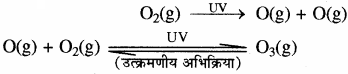 RBSE Solutions for Class 11 Chemistry Chapter 14 पर्यावरणीय रसायन img 17