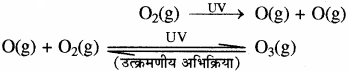 RBSE Solutions for Class 11 Chemistry Chapter 14 पर्यावरणीय रसायन img 2