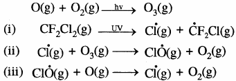 RBSE Solutions for Class 11 Chemistry Chapter 14 पर्यावरणीय रसायन img 24