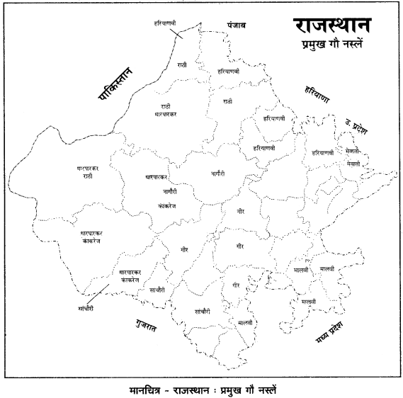RBSE Solutions for Class 12 Geography Chapter 24 राजस्थान: खनिज व उद्योग img-2