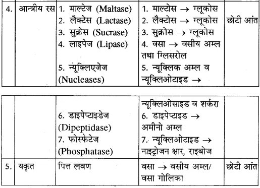 RBSE Solutions for Class 10 Science Chapter 2 मानव तंत्र image - 24