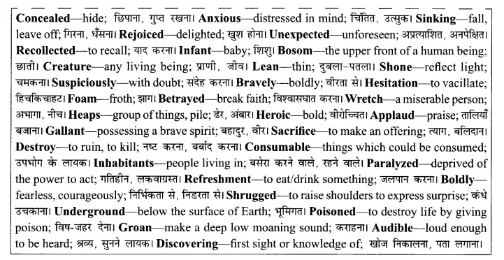 RBSE Solutions for Class 8 English Chapter 6 The Brave Lady of Rajasthan 2