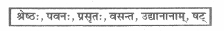 RBSE Class 10 Sanskrit Board Paper 2018 6
