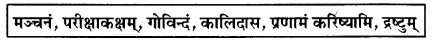 RBSE Class 10 Sanskrit Model Paper 2 3