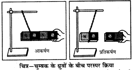 RBSE Solutions for Class 6 Science Chapter 13 चुम्बकत्व 5