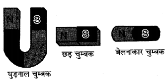 RBSE Solutions for Class 6 Science Chapter 13 चुम्बकत्व 8