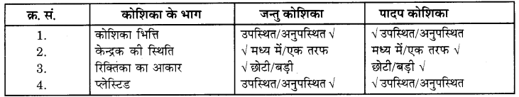 RBSE Solutions for Class 6 Science Chapter 7 कोशिका 4