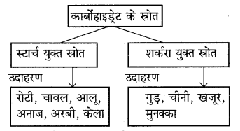 RBSE Solutions for Class 7 Science Chapter 1 भोजन के अवयव 3