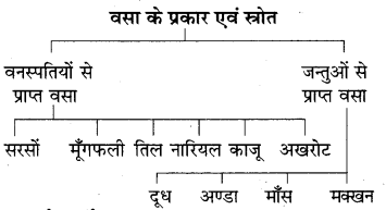 RBSE Solutions for Class 7 Science Chapter 1 भोजन के अवयव 6