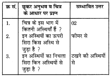 RBSE Solutions for Class 7 Science Chapter 10 कंकाल एवं संधियाँ 10
