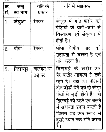 RBSE Solutions for Class 7 Science Chapter 10 कंकाल एवं संधियाँ 15