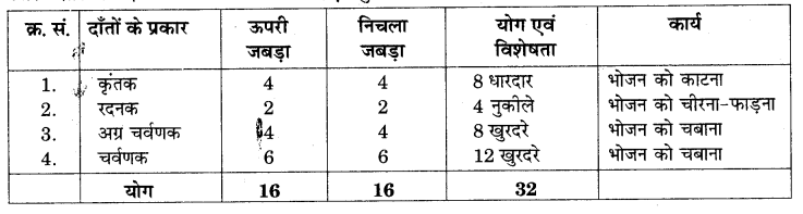 RBSE Solutions for Class 7 Science Chapter 2 प्राणियों में पोषण 7