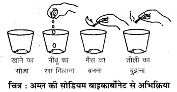 RBSE Solutions for Class 7 Science Chapter 5 अम्ल, क्षारक एवं लवण 5