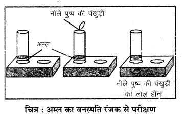 RBSE Solutions for Class 7 Science Chapter 5 अम्ल, क्षारक एवं लवण 6