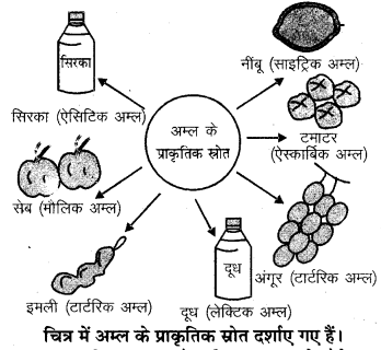 RBSE Solutions for Class 7 Science Chapter 5 अम्ल, क्षारक एवं लवण 9