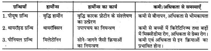 RBSE Solutions for Class 7 Science Chapter 6 अन्त स्रावी ग्रन्थियाँ 4