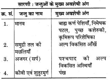 RBSE Solutions for Class 7 Science Chapter 7 जैव विकास 10