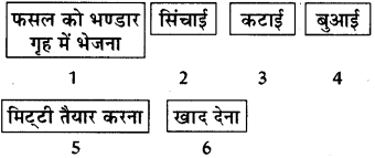 RBSE Solutions for Class 8 Science Chapter 1 कृषि प्रबन्धन 1