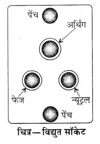 RBSE Solutions for Class 8 Science Chapter 11 विद्युत धारा के प्रभाव 10