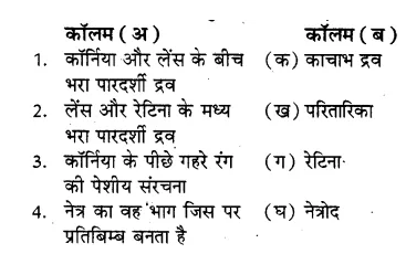 RBSE Solutions for Class 8 Science Chapter 14 प्रकाश का अपवर्तन 1