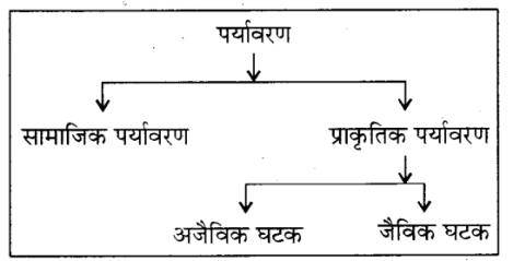 RBSE Solutions for Class 8 Science Chapter 17 पर्यावरण 1