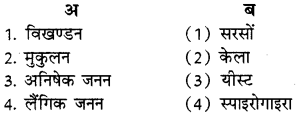 RBSE Solutions for Class 8 Science Chapter 6 पौधों में जनन 1