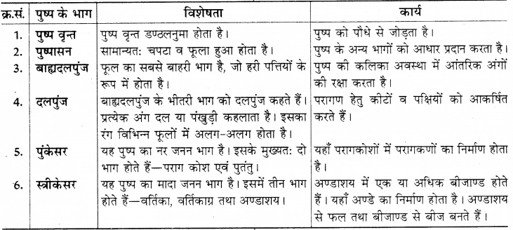 RBSE Solutions for Class 8 Science Chapter 6 पौधों में जनन 11