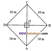 RBSE Solutions for Class 9 Maths Chapter 11 Area of Plane Figures Ex 11.3