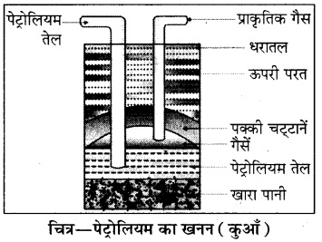 Rajasthan Board RBSE Class 8 Science Chapter 18 कार्बन और ईंधन 2